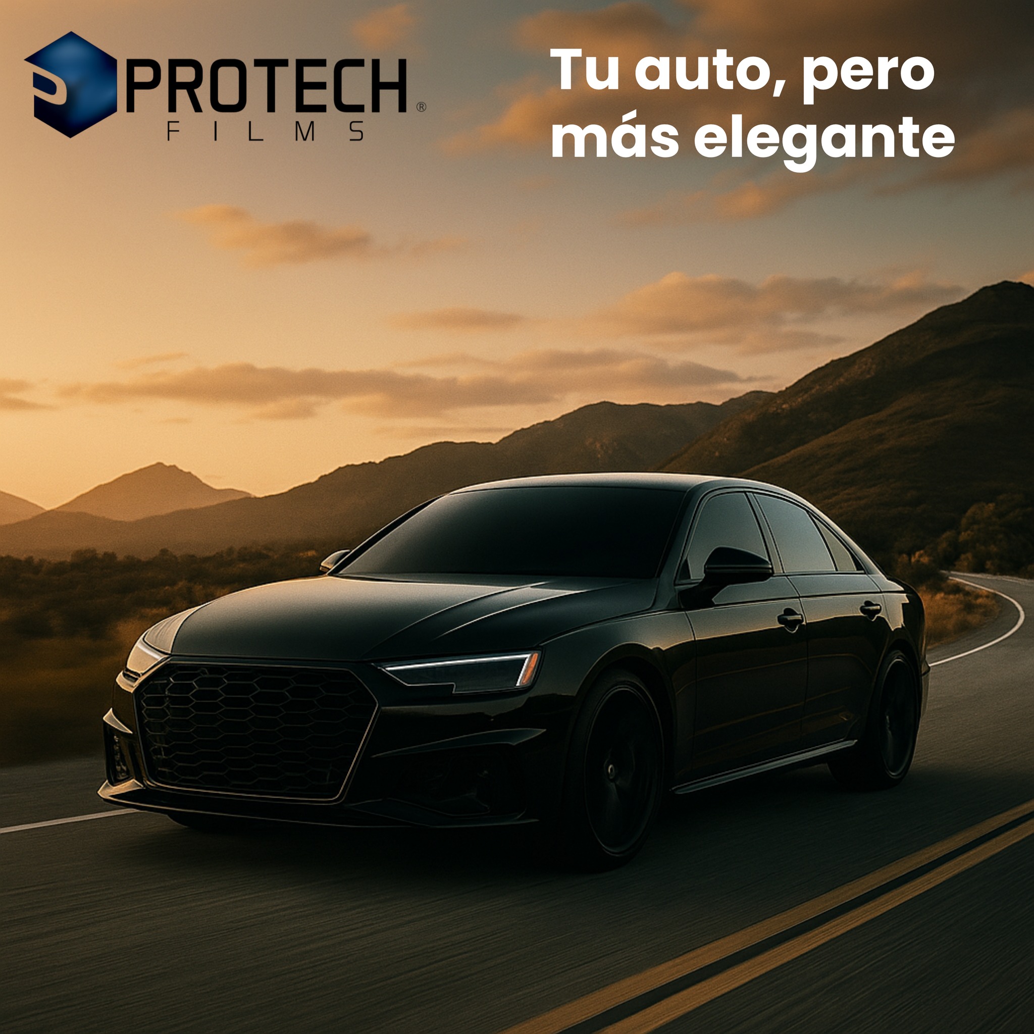 Vehículo Polarizado